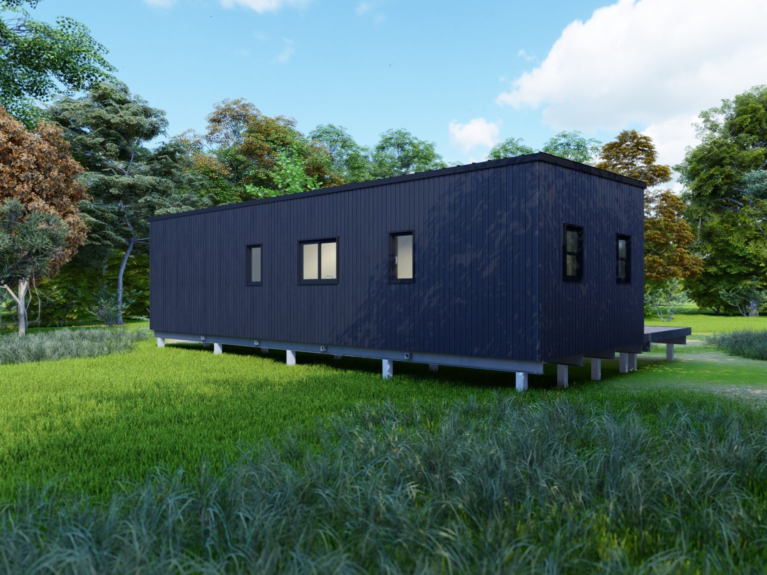 Ash 12x4 Render 5
