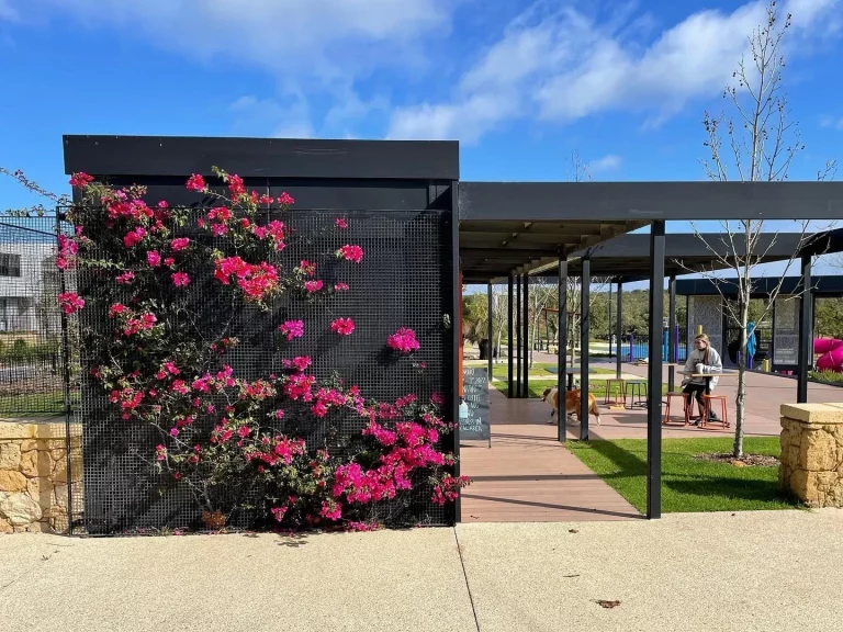 295262380 1985533821638455 7024606510270177453 N