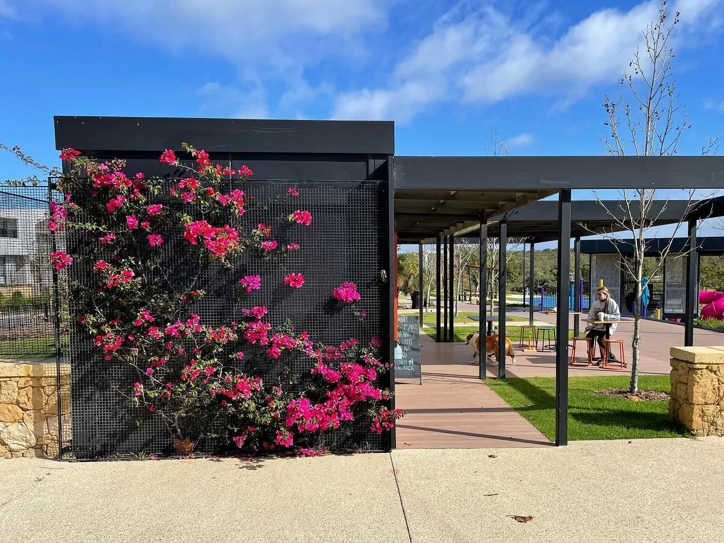 295262380 1985533821638455 7024606510270177453 N